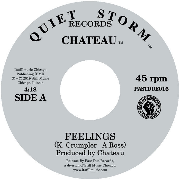 Etiqueta central lado A del vinilo Chateau – Feelings / Strike A Spark, mostrando el tema “Feelings”, créditos de K. Crumpler y A. Ross, duración 4:18 y sello Past Due a 45 RPM.