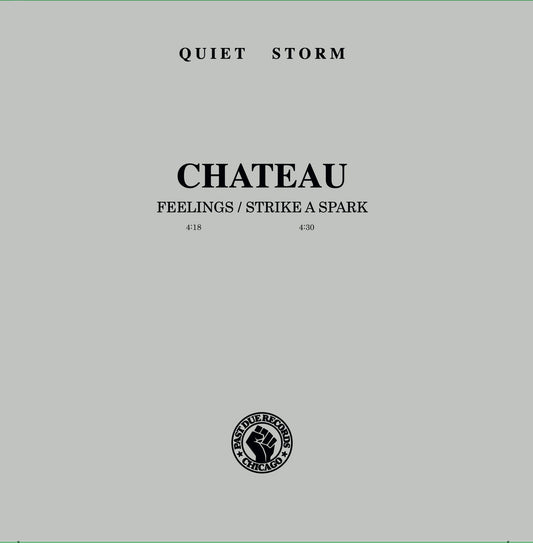 Portada minimalista del vinilo Chateau – Feelings / Strike A Spark editado por Past Due, con fondo gris y tipografía sobria que resalta el sello Quiet Storm Records.