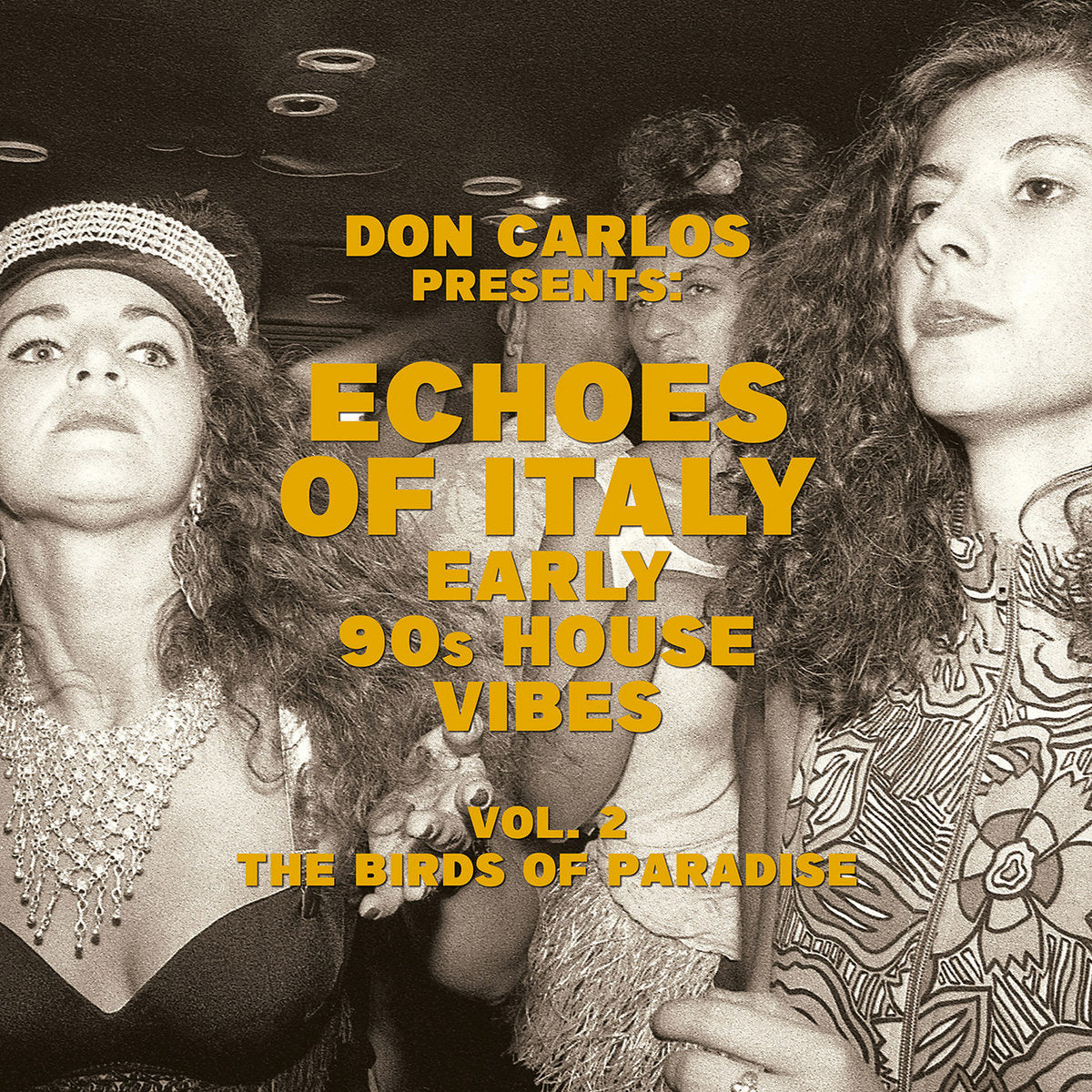 Portada delantera del vinilo Don Carlos – Echoes Of Italy (Vol. 2) publicado por Jungle Fantasy Records. Texto impreso: Don Carlos presenta Echoes Of Italy – Early 90s House Vibes Vol. 2 The Birds Of Paradise.