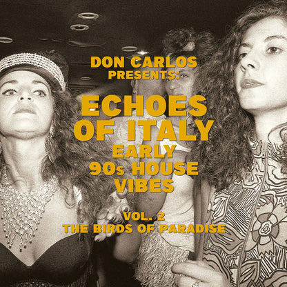 Portada delantera del vinilo Don Carlos – Echoes Of Italy (Vol. 2) publicado por Jungle Fantasy Records. Texto impreso: Don Carlos presenta Echoes Of Italy – Early 90s House Vibes Vol. 2 The Birds Of Paradise.