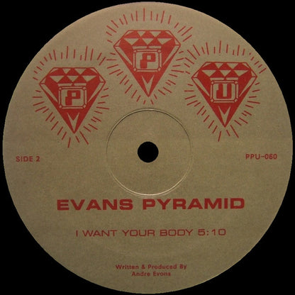 Portada trasera del vinilo Evans Pyramid – Where Love Lives, lanzado por Peoples Potential Unlimited en 12" limitado. Muestra la lista de canciones y detalles de producción.