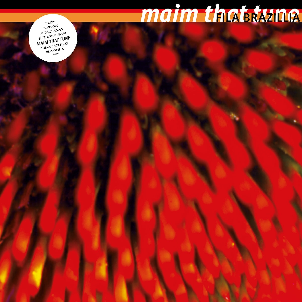 Portada del vinilo Fila Brazillia – Maim That Tune con arte abstracto rojo intenso de la reedición remasterizada en 2 LP por Growing Bin Records.