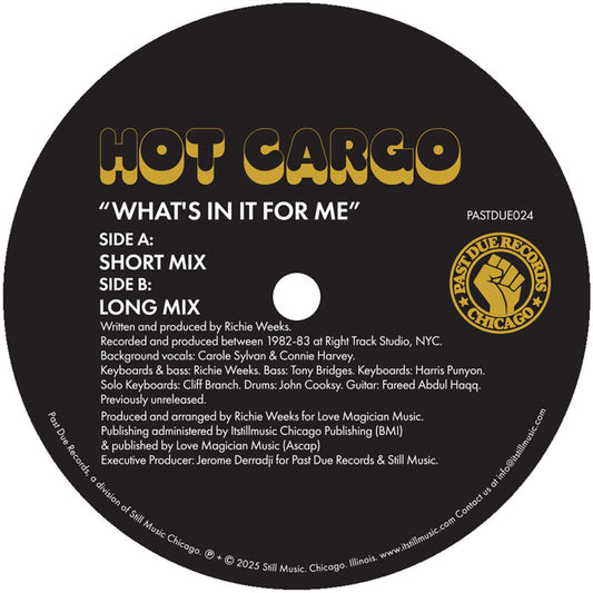 Vinilo Hot Cargo – What’s In It For Me, lado B, etiqueta negra Past Due con títulos Short Mix y Long Mix, créditos y catálogo visibles.