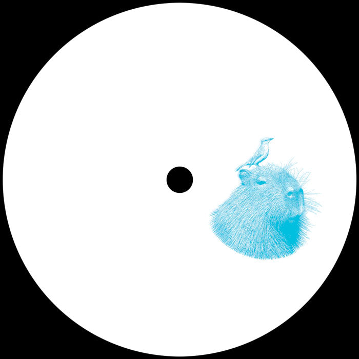Lado B del vinilo JKriv – JKriv Edits Vol. 2, etiqueta blanca con ilustración turquesa de capibara y ave.