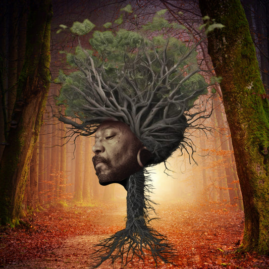 Portada del vinilo Osunlade – Inner Garden en LP de Yoruba Records, arte visual surrealista con raíces y árboles fusionados.
