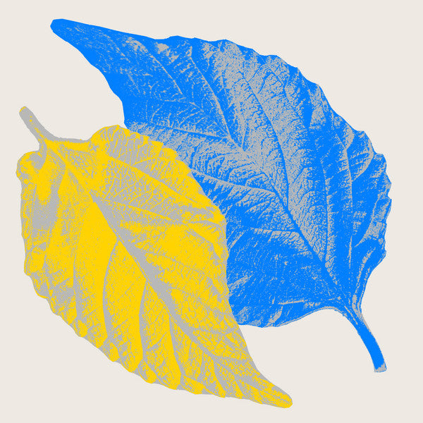 Dos hojas impresas en azul y amarillo sobre fondo beige ilustran la portada del vinilo Pau Roca Feat. Laura Elle – Your Energy de Escola, con arte minimalista y textura natural.