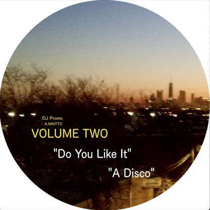 Etiqueta central del lado A del vinilo Rahaan – Edits & Remixes Inspired By The Golden Age Of Chicago's Club Culture (Volume 2), con títulos “Do You Like It” y “A Disco”, formato promocional 2x12".