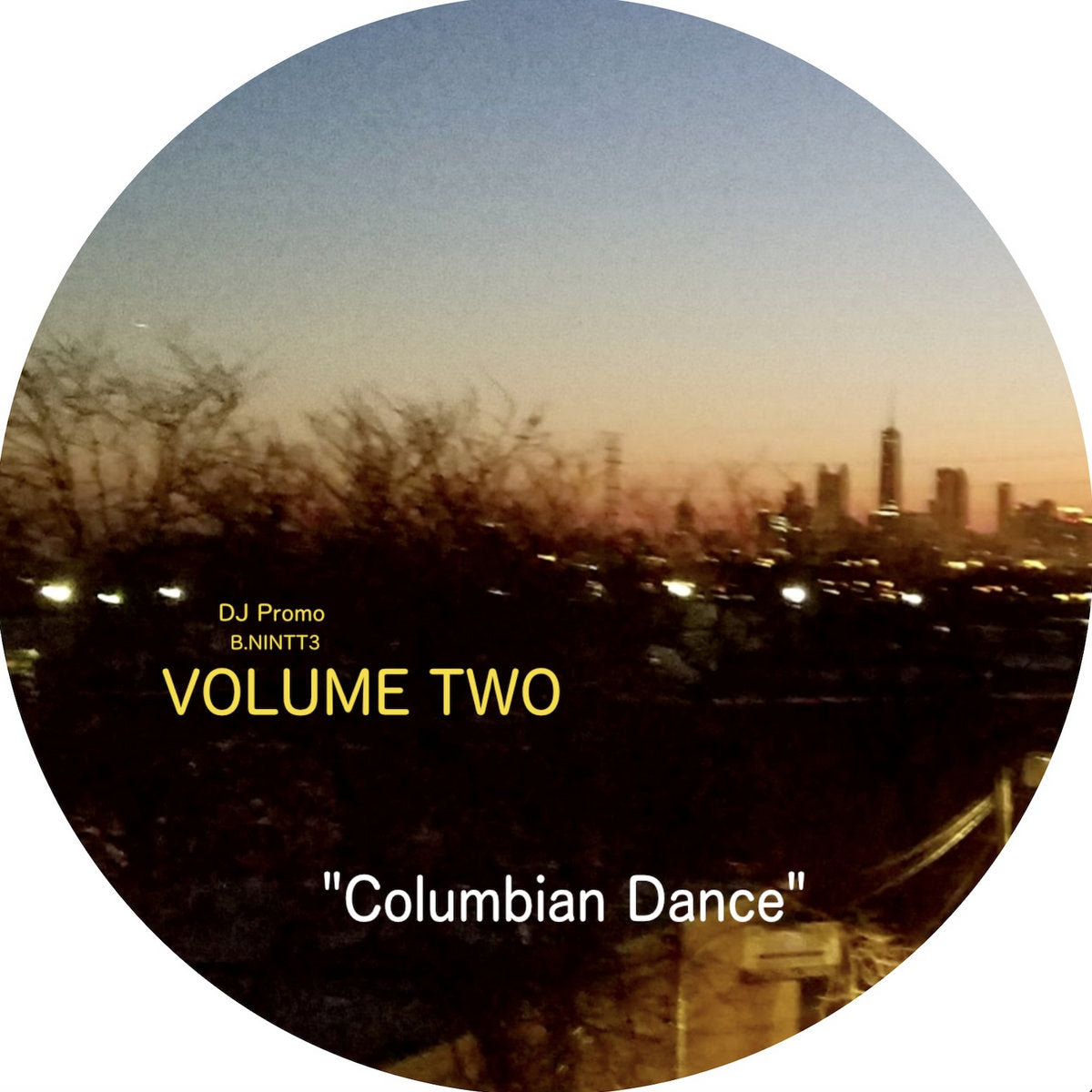 Centro del lado B del vinilo Rahaan – Edits & Remixes Inspired By The Golden Age Of Chicago's Club Culture (Volume 2), incluye el track “Columbian Dance”, lanzado por Now Is Not The Time.