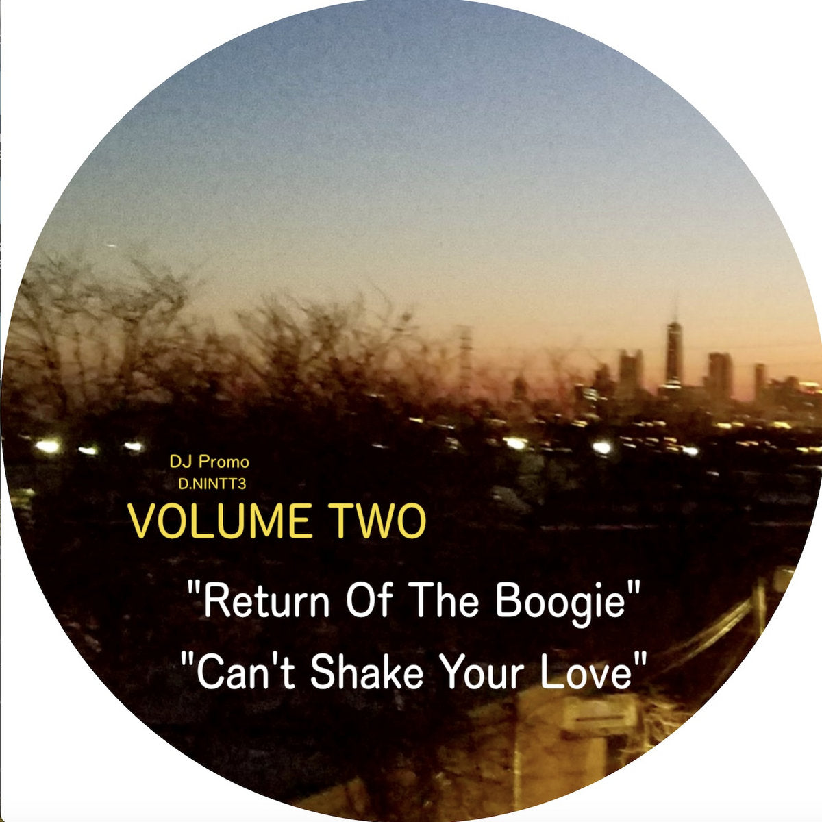 Vinilo lado D con las pistas “Return Of The Boogie” y “Can't Shake Your Love” del disco Rahaan – Edits & Remixes Inspired By The Golden Age Of Chicago's Club Culture (Volume 2), sello Now Is Not The Time.