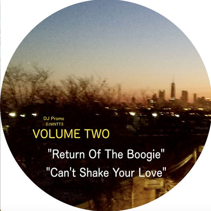 Vinilo lado D con las pistas “Return Of The Boogie” y “Can't Shake Your Love” del disco Rahaan – Edits & Remixes Inspired By The Golden Age Of Chicago's Club Culture (Volume 2), sello Now Is Not The Time.