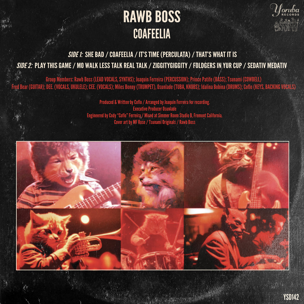 Contraportada del vinilo Rawb Boss – Coafeelia con créditos completos, lista de pistas, y fotos de los músicos con máscaras felinas en estilo retro.