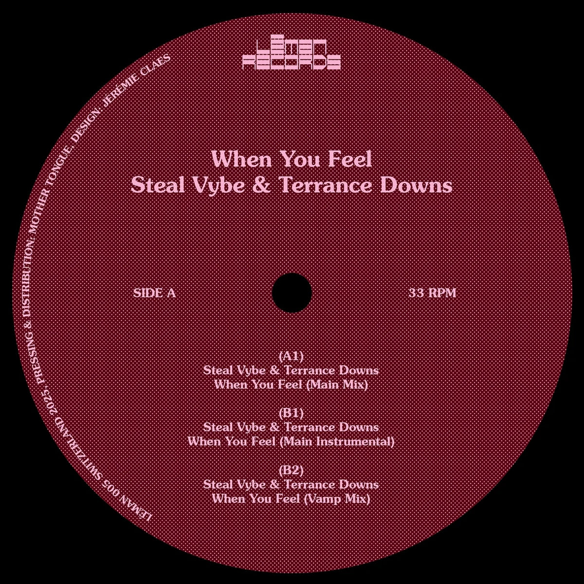 Lado A del vinilo Steal Vybe & Terrance Downs – When You Feel en 12" Leman Records, etiqueta roja con tracklist y créditos visibles.