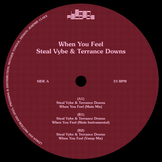 Lado A del vinilo Steal Vybe & Terrance Downs – When You Feel en 12" Leman Records, etiqueta roja con tracklist y créditos visibles.
