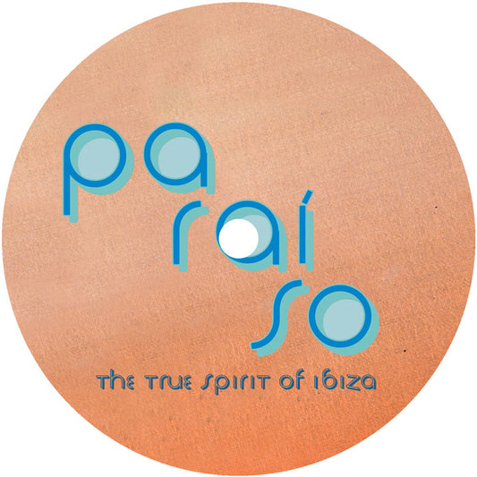 Vinilo Varios Artistas – The True Spirit of Ibiza (Bonus Sampler 2), etiqueta central Rebirth 12" con tracks A1 Dubtribe y A2 Max Berlin en tipografía blanca.